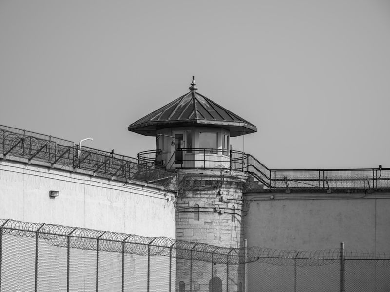 pexels-photo-27541582-2
